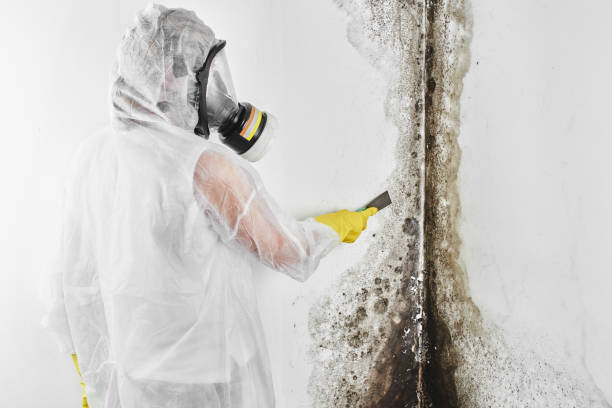 Best Mold Testing  in Lake Landor, VA