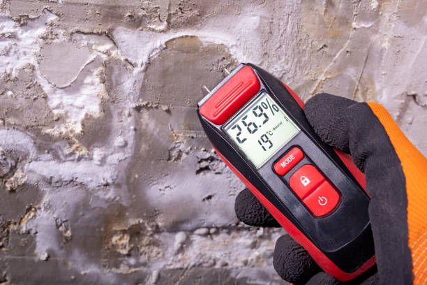 Best Crawl Space Mold Removal  in Lake Landor, VA