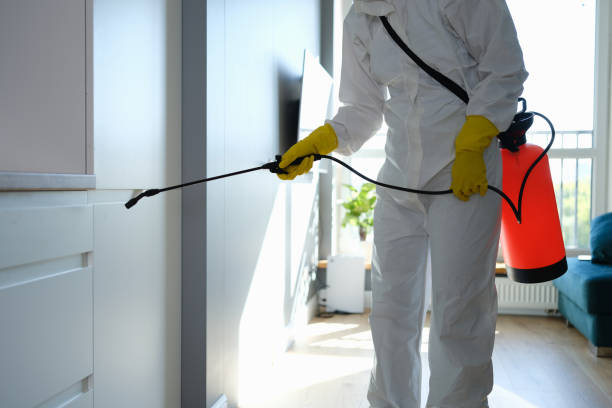 Best Commercial Mold Removal  in Lake Landor, VA