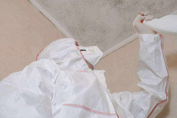 Professional Mold Removal in Lake Landor, VA