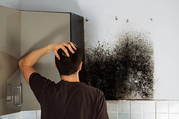 Crawl Space Mold Removal in Lake Landor, VA
